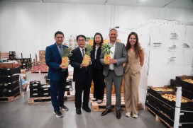 台南芒果、芭樂成功叩關歐盟 南市府與中央通力合作拓展農產外銷