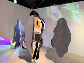 115年度府中15申請展「影像・流變：當代影像藝術的同質異像」 7/1起開放申請！