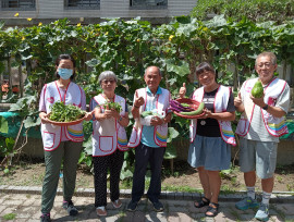 臺中北屯家庭中心打造開心農場　蔬果贈500戶弱勢家庭