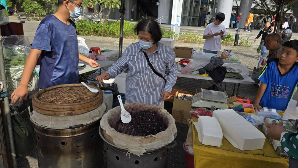 大寮紅豆花田季登場  親子同遊體驗採收樂趣