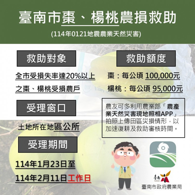 1月21日地震導致臺南市棗、楊桃受損 1月23日至2月11日受理現金救助申請
