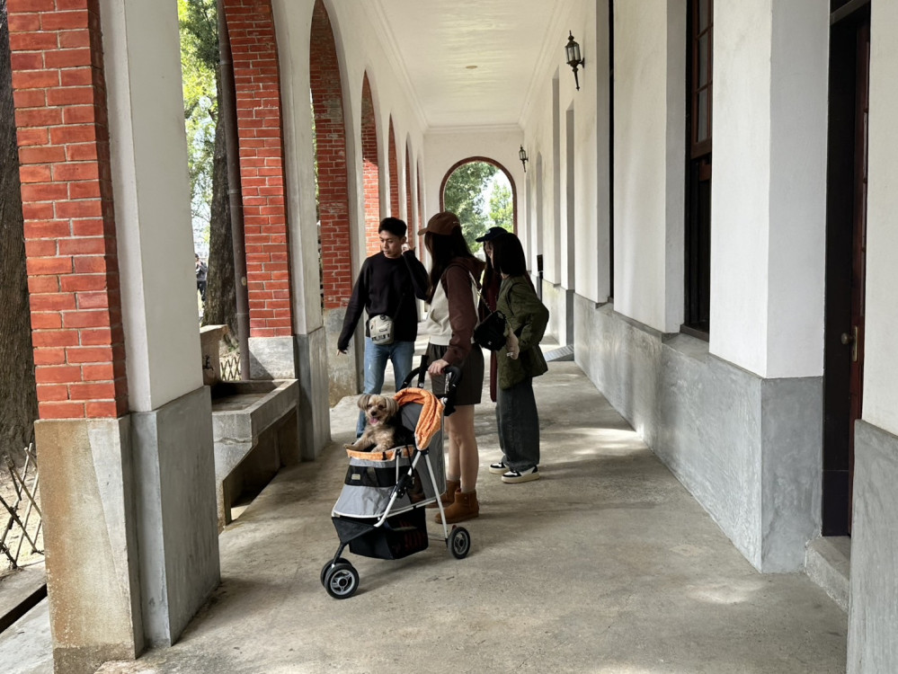 巷仔Niau帶路！文史之都與寵物共融  臺南寵物友善政策乙巳新春連假見成效