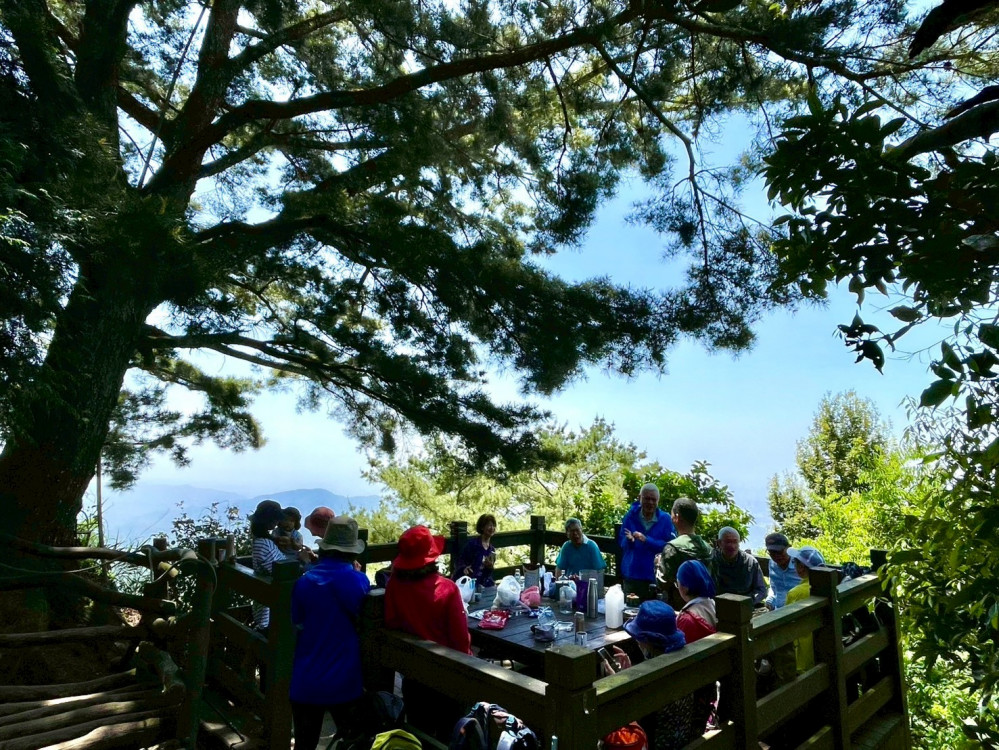 跟著布朗青蛙去旅行！中市觀旅局力邀民眾探索大坑5-1號手作文學步道