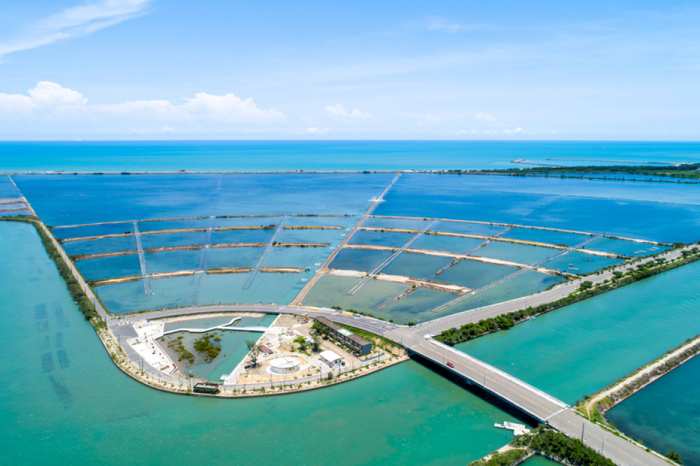 2025端午連假攏粽來臺南 龍舟美食賞花趣 開心過節超滿足！