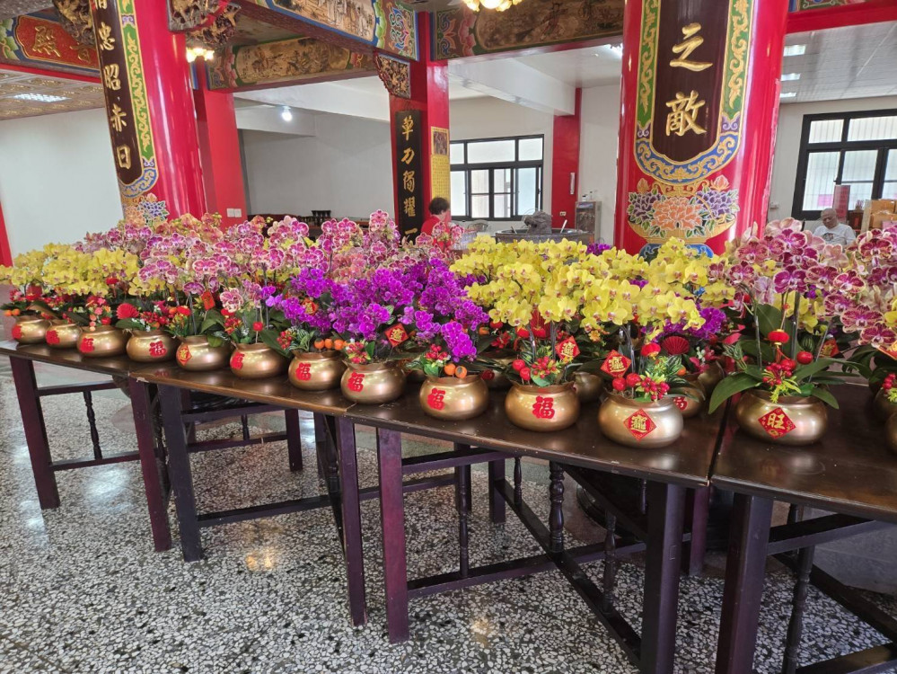 臺南市農業局媒合蘭花園業者與廟宇推廣蝴蝶蘭 信衆大讚好點子 供奉蘭花表敬意
