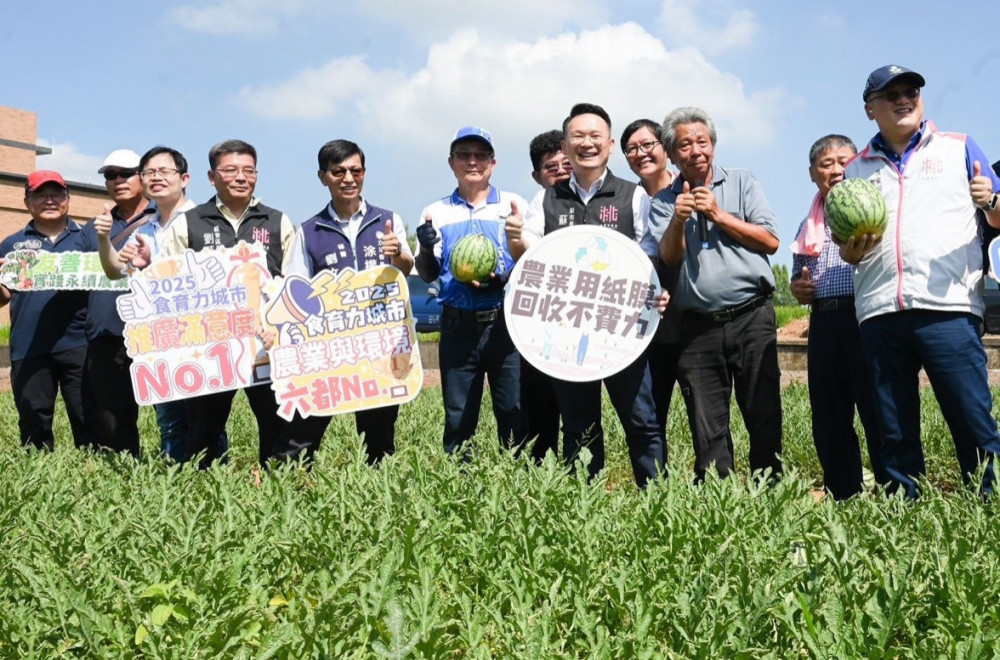 低碳環保紙膜種出西瓜　蘇俊賓取名「小燕鷗西瓜」推廣桃園優質環保農產