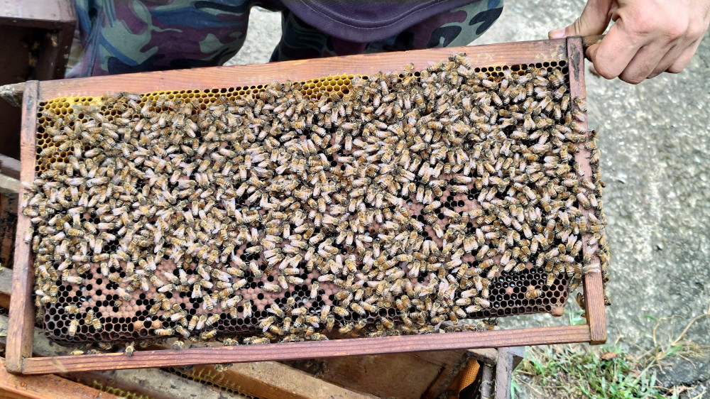 臺南商圈小旅行．臺南風味漫旅正式開跑