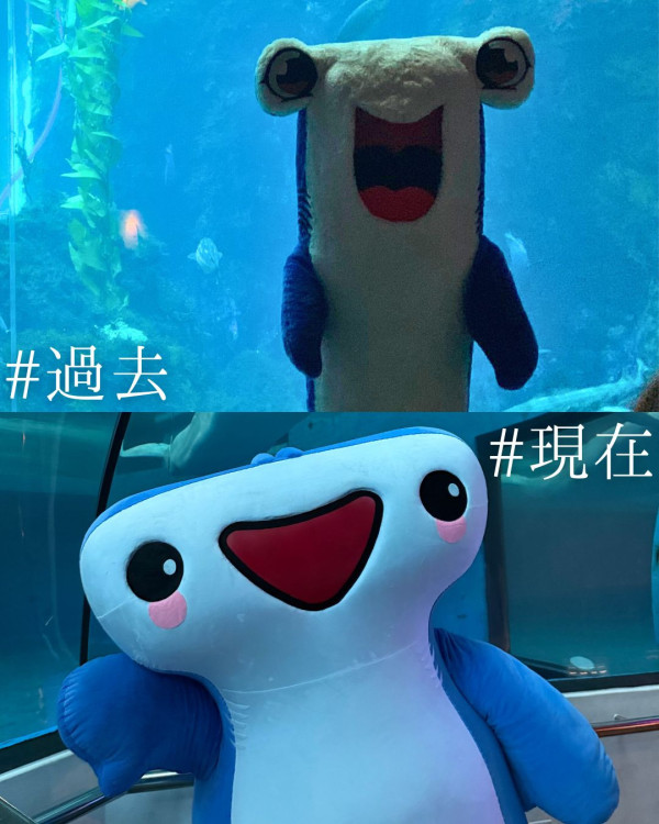 新聞圖片