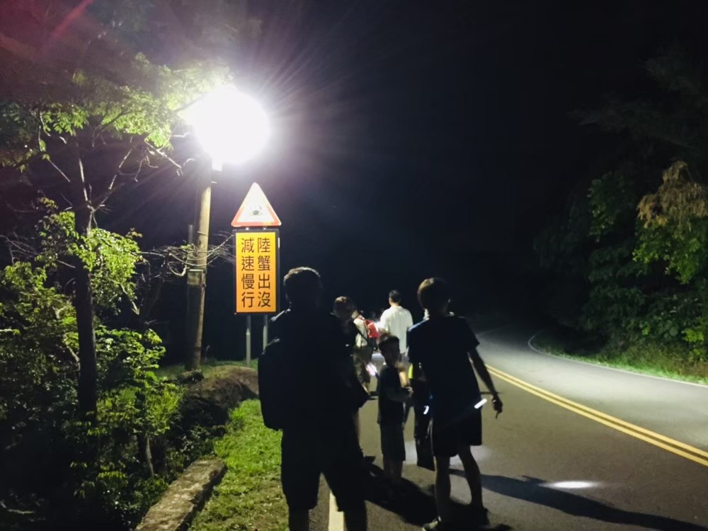 夜宿海生館推全新行程 跟著鯊寶後場揭密探訪海龜