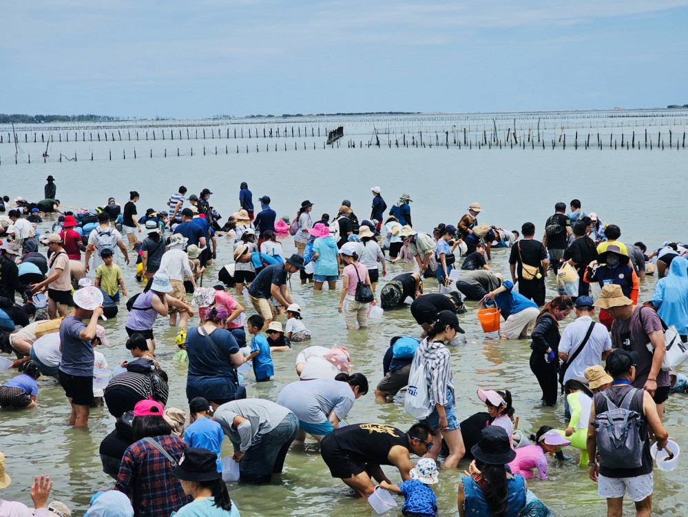 颱風影響！七股海鮮節 6 日挖文蛤活動取消 改期退費方式出爐