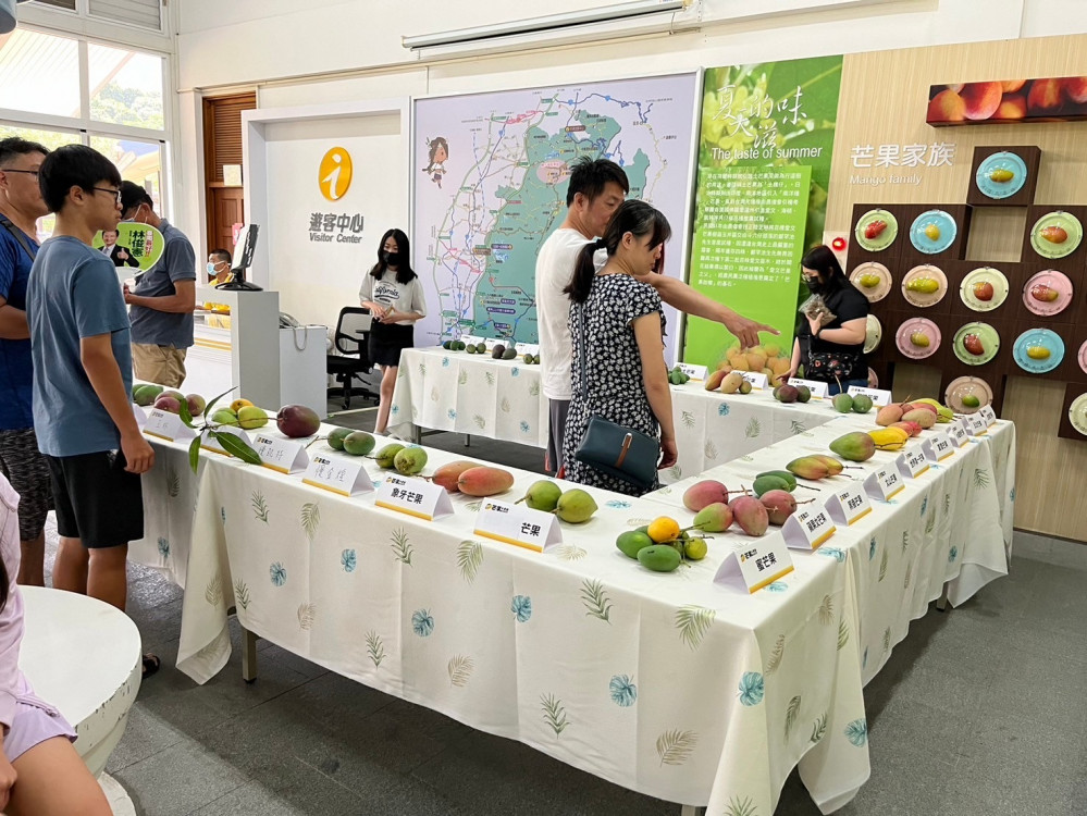 西拉雅芒果展 7 月登場 30 種芒果任你賞